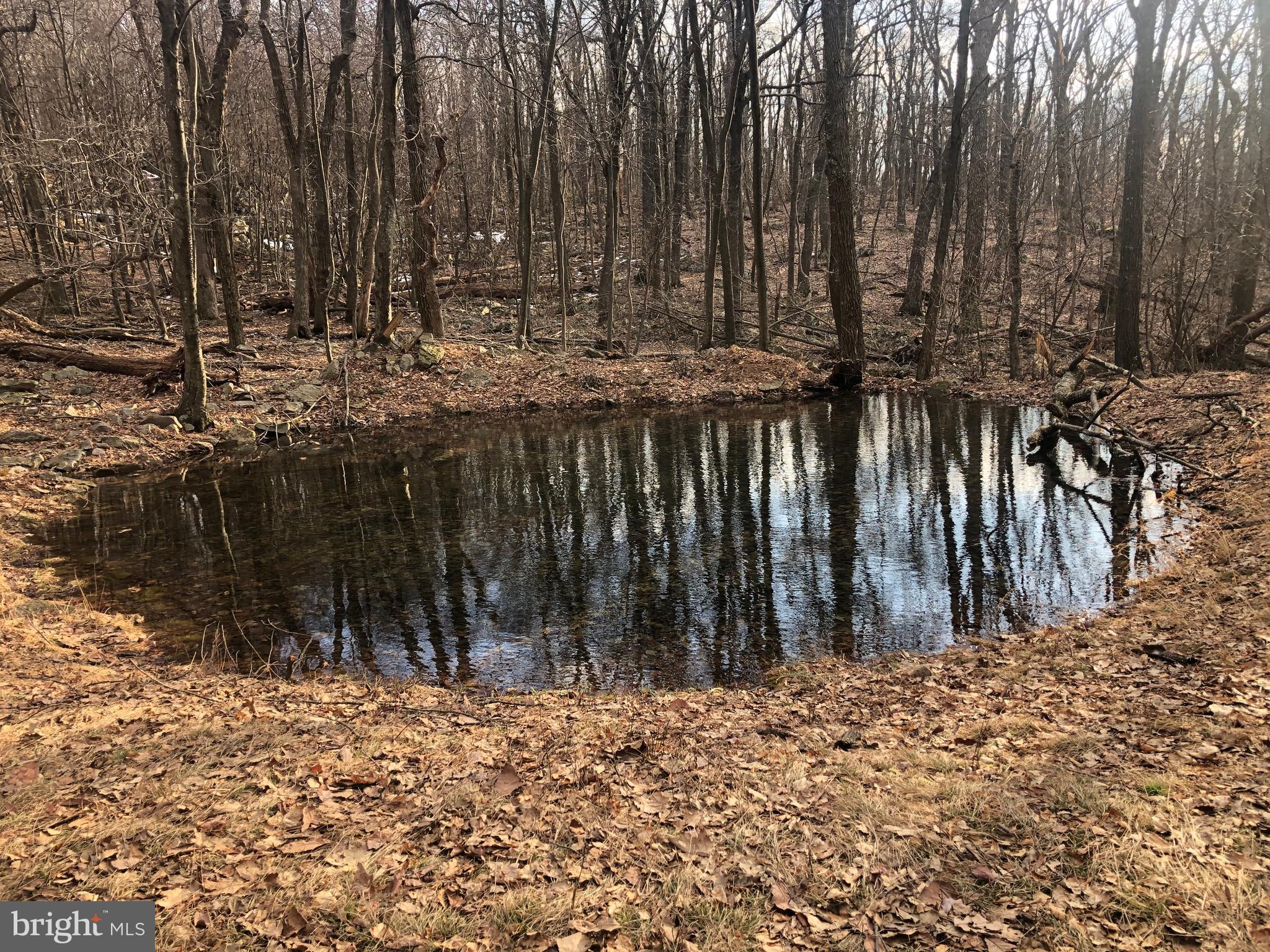 COVE CREEK - Residential