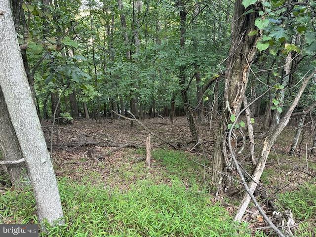 LAKE HOLIDAY ESTATES - Land