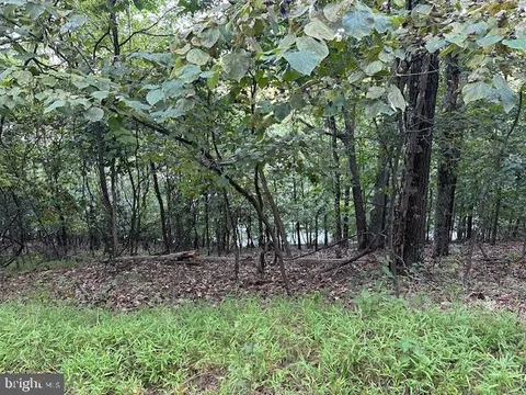 132 Forest Drive, Cross Junction, VA MLS: VAFV2033524
