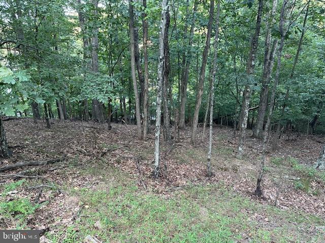 LAKE HOLIDAY ESTATES - Land