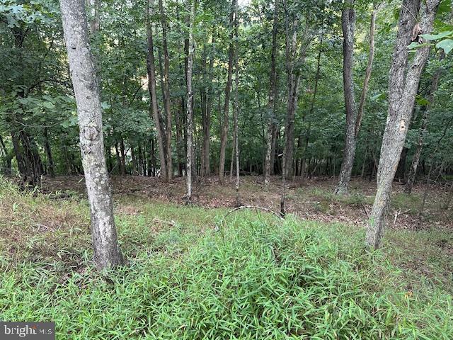 LAKE HOLIDAY ESTATES - Land