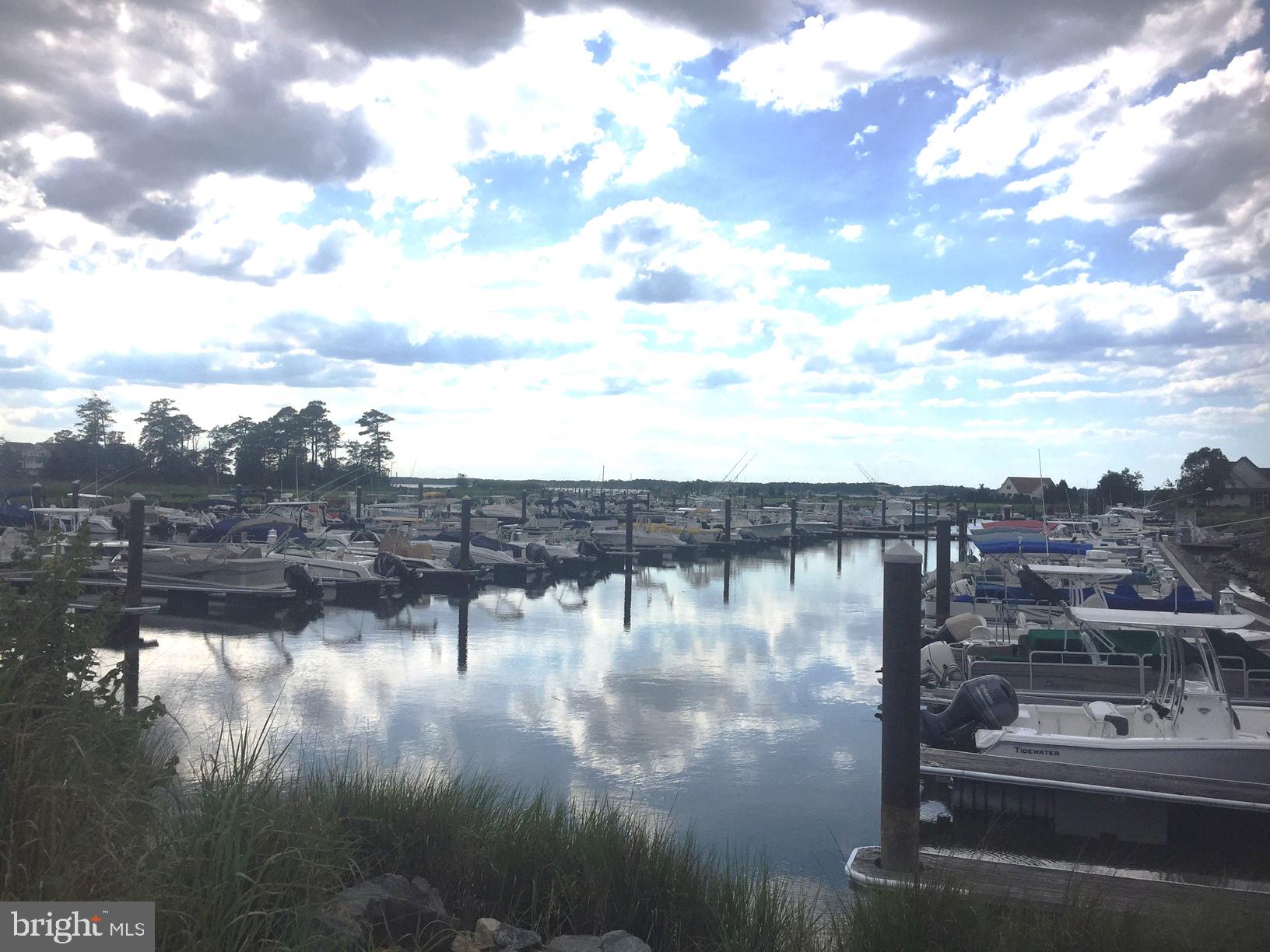 29664 COLONY DRIVE F-11