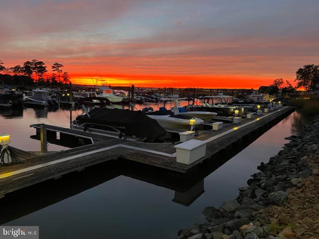 29664 COLONY DRIVE F-11