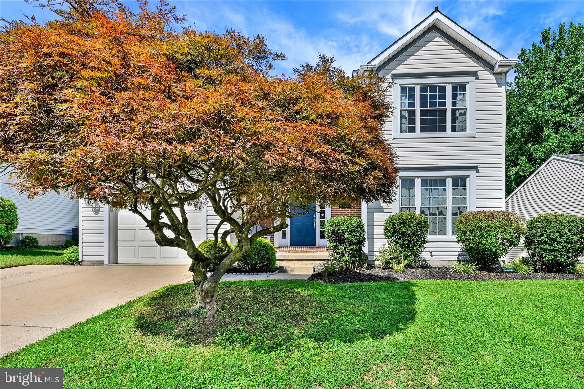 3317 TRELLIS LANE