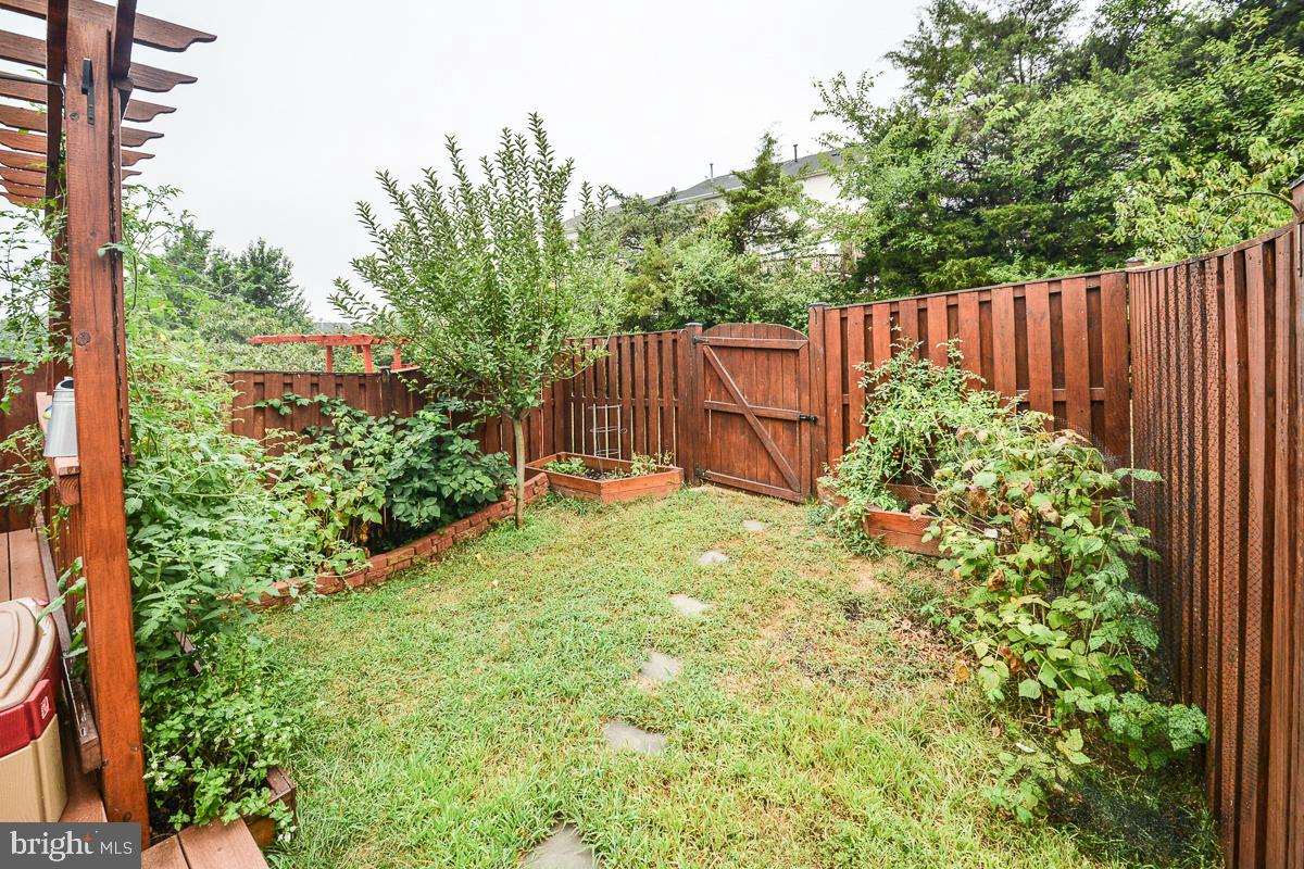 POTOMAC STATION - Residential Lease