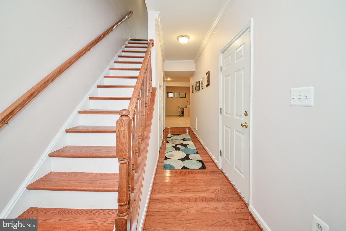 POTOMAC STATION - Residential Lease