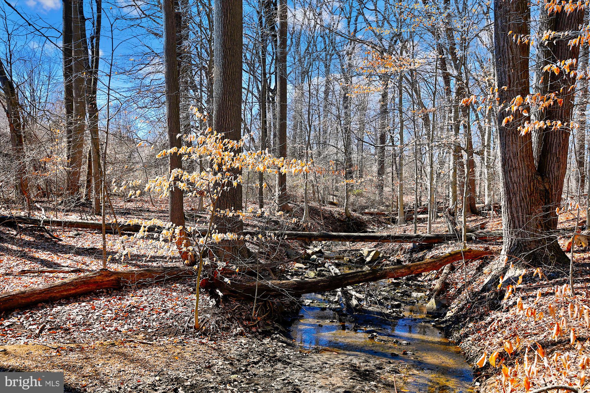 HUNTERS RUN - Residential