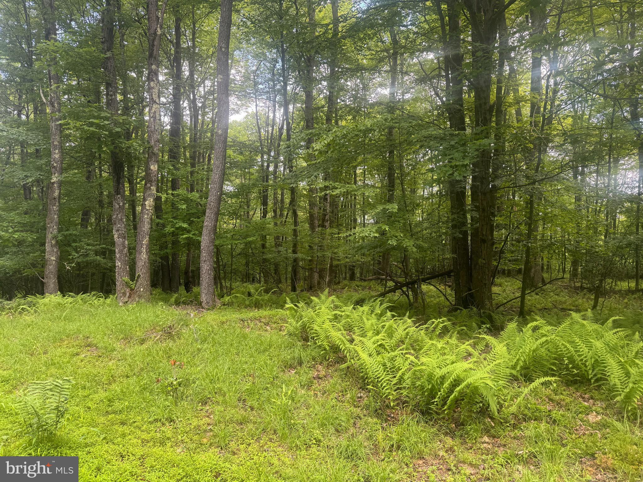 Lot 18 BUCK DRIVE
