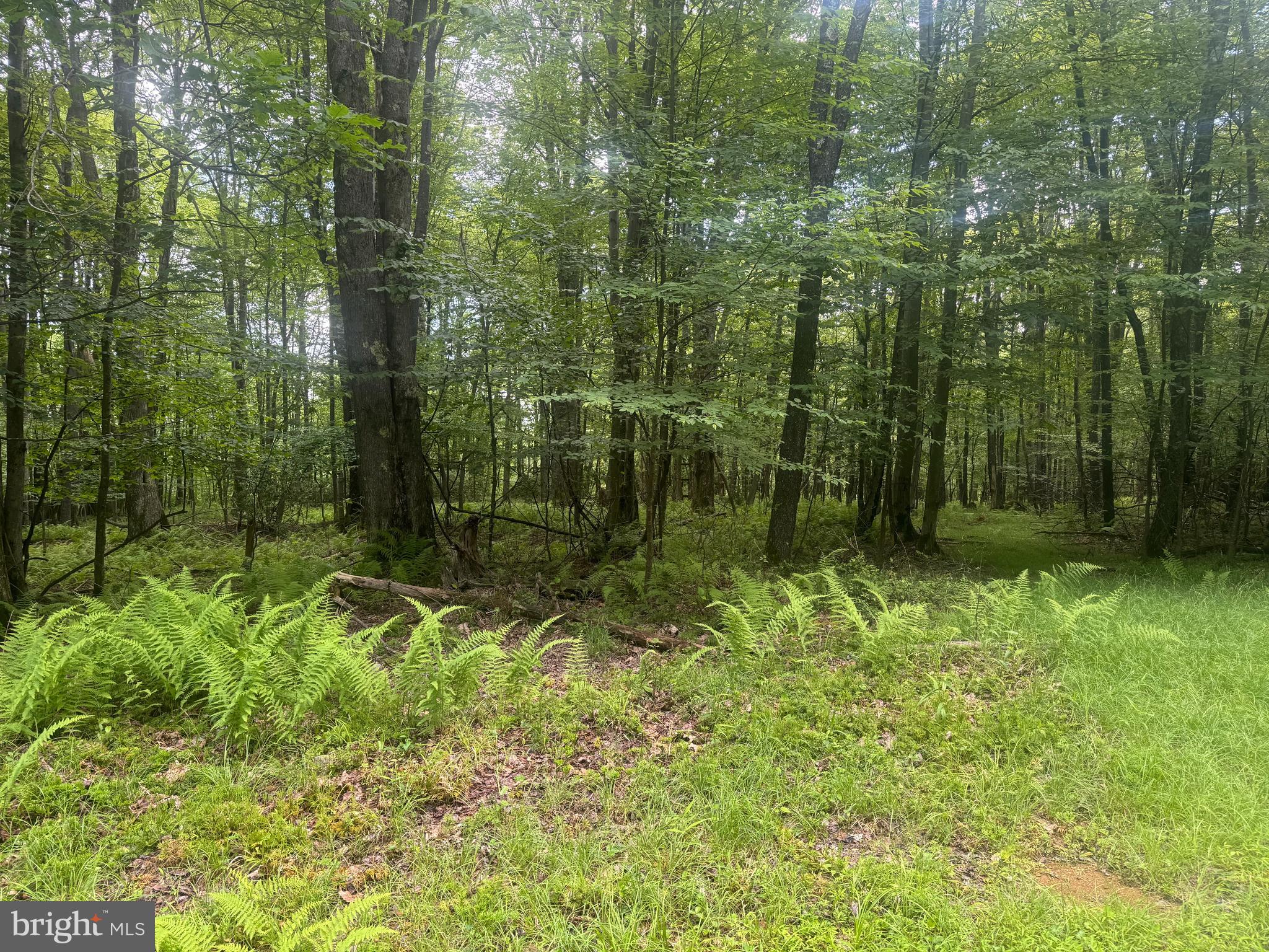 Lot 18 BUCK DRIVE