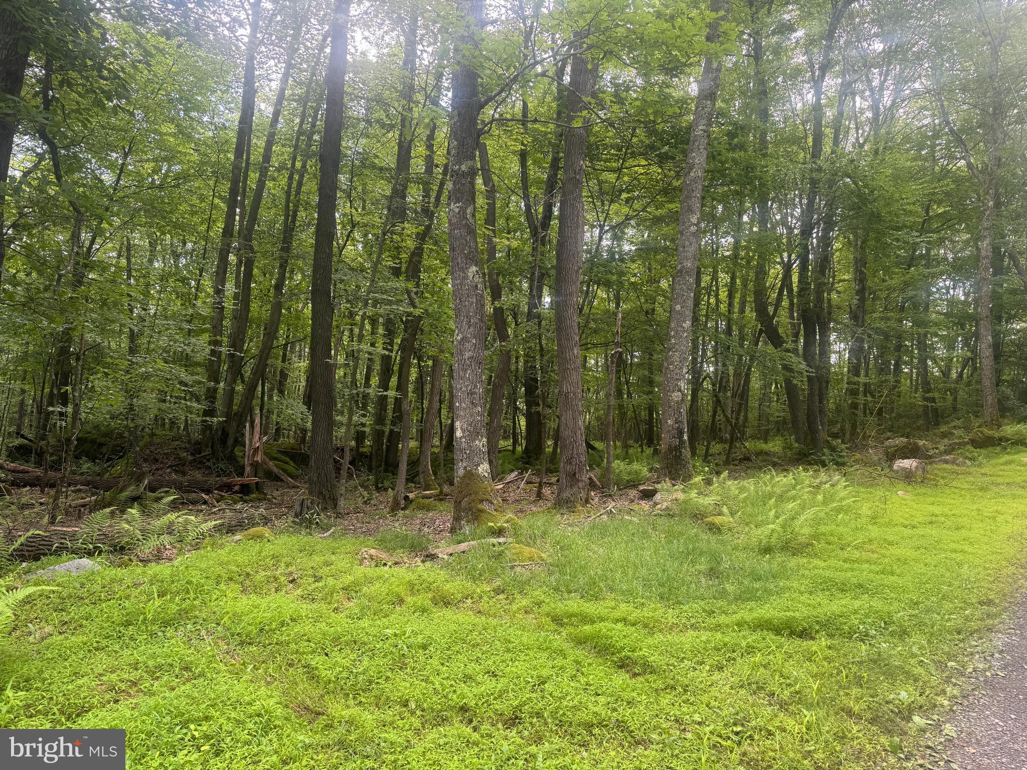 Lot 18 BUCK DRIVE