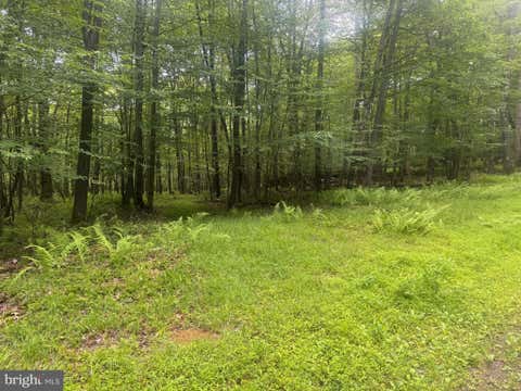 Vacant Land For Sale - LOT 18 Buck Drive<br/> OAKLAND, MD 21550