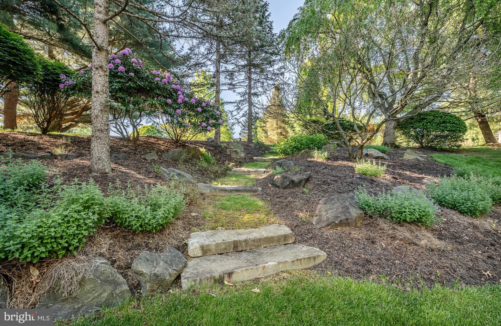RADNOR HUNT - Residential