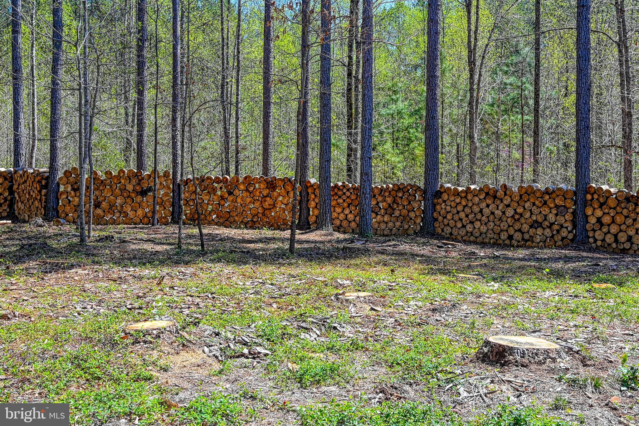 LAKE ANNA CROSSING - Residential