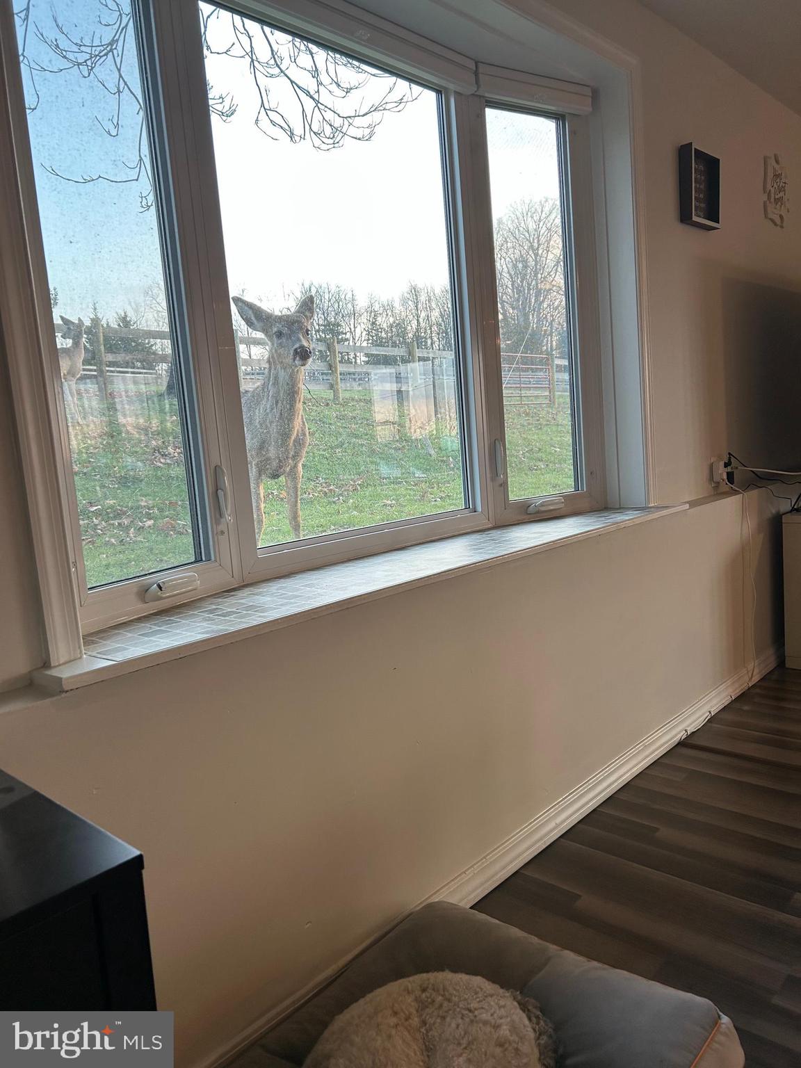 NONE, RURAL - Residential