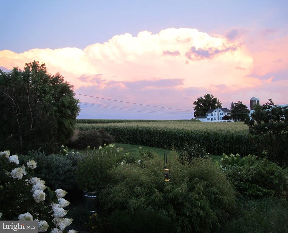 HOLTWOOD - Residential