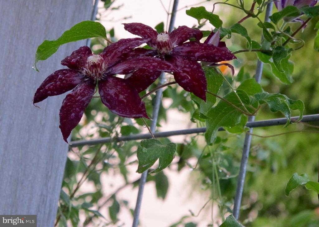 HOLTWOOD - Residential