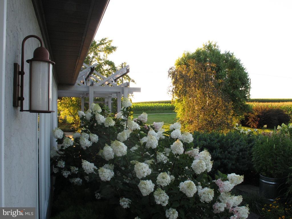 HOLTWOOD - Residential