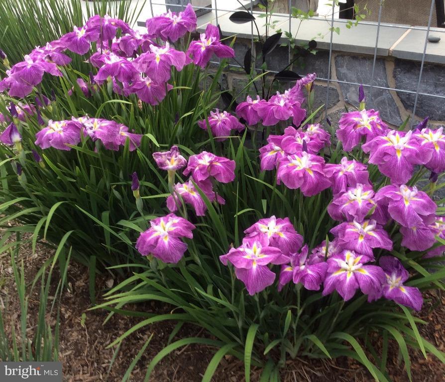 HOLTWOOD - Residential