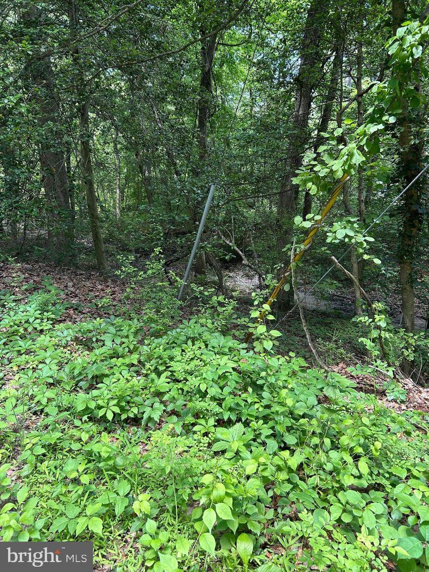 Herald Harbor is a charming riverside community.  The lot has public water and no septic system at this time.  It backs to wetland and may require an evaporation field. The lots are on a hill and will require post construction and a parking pad. Follow GPS to the intersection of Snodgrass Rd and Bishop Trail.  The property is alongside Bishop Trail and is about 150 feet from Snodgrass Rd. The actuall listing is on Elm Trail but Elm is not finished to the actual property site. See the diagram in the attached disclosures.