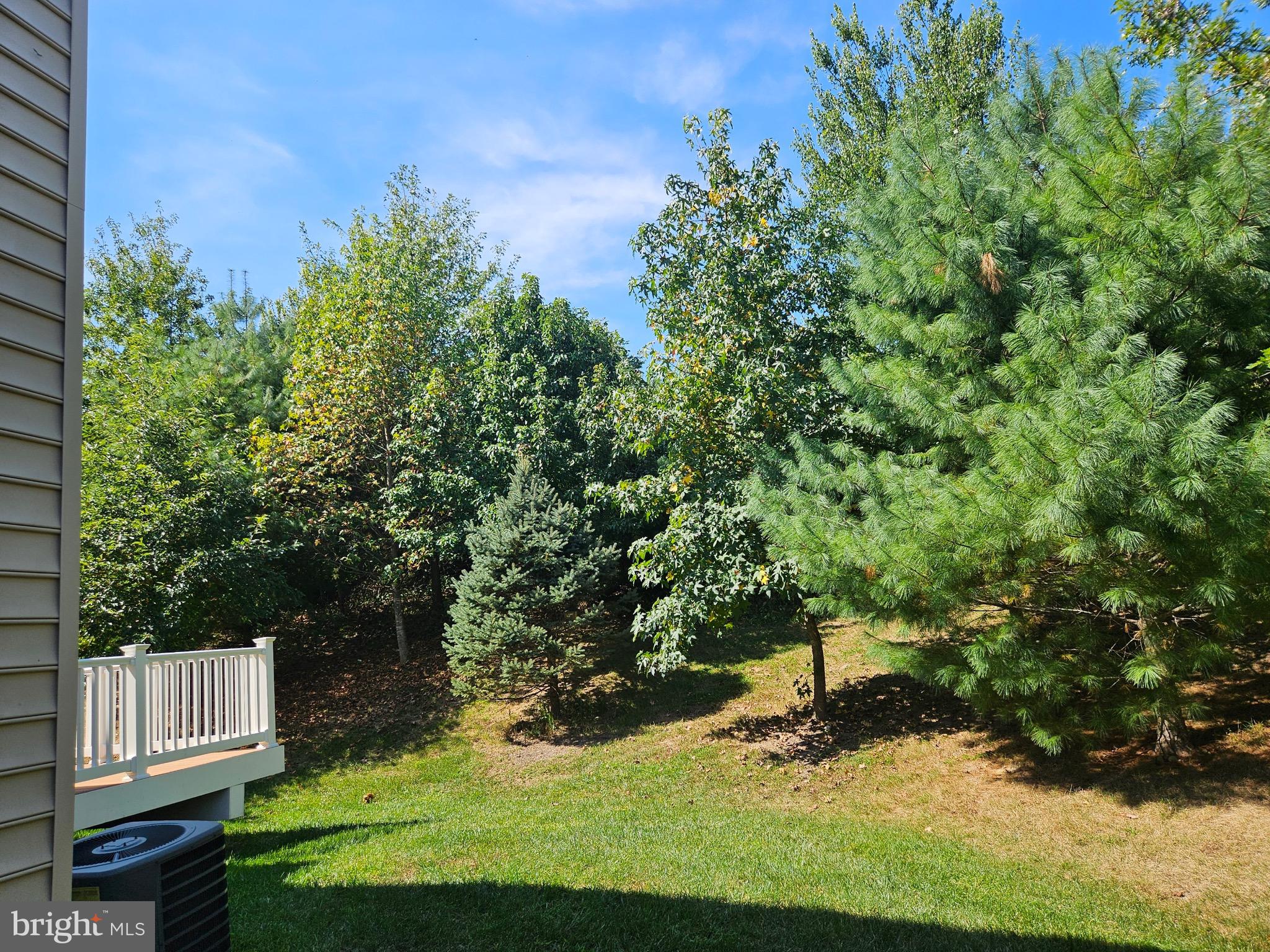 RAINCLIFFE - Residential Lease