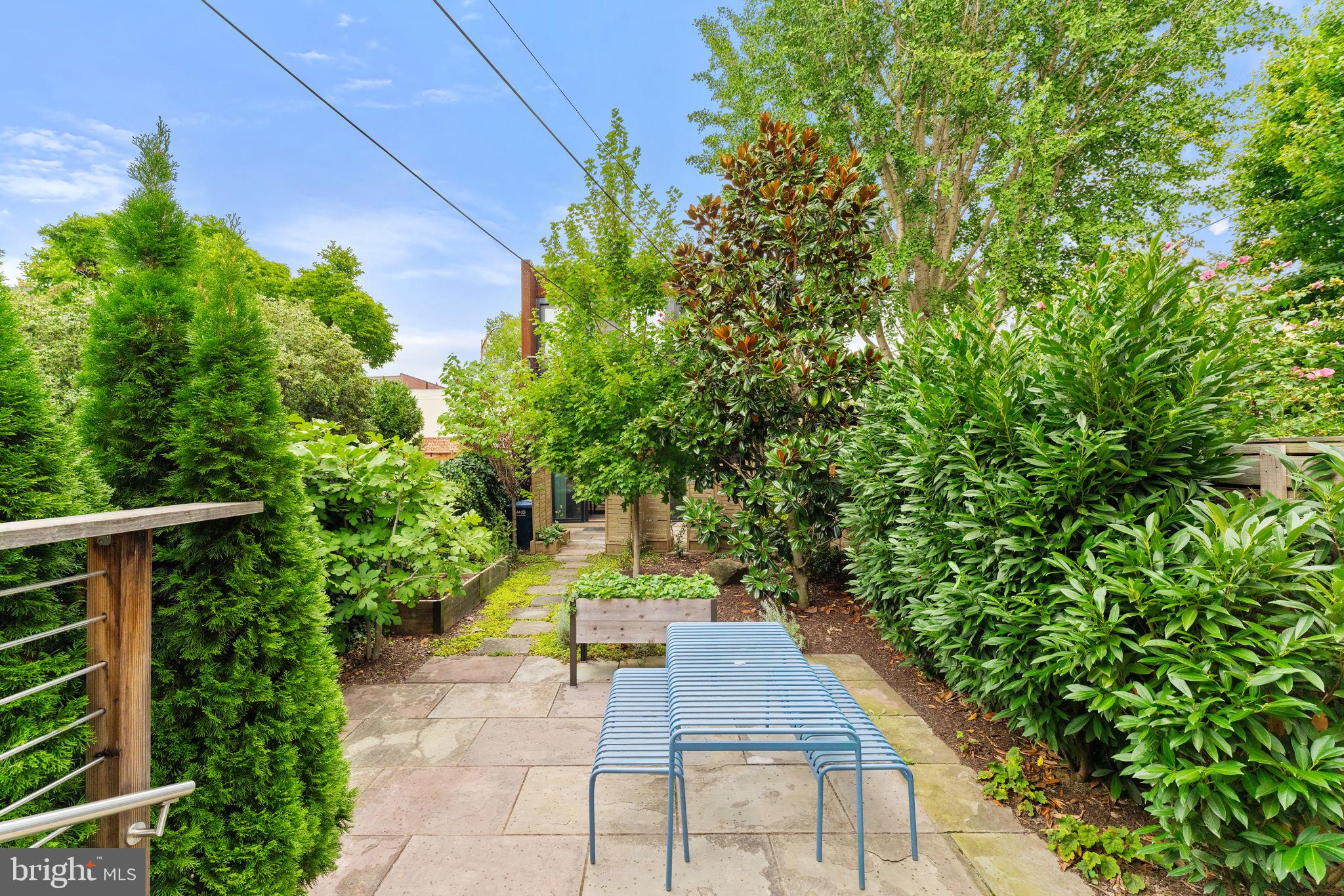 CAPITOL HILL - Residential