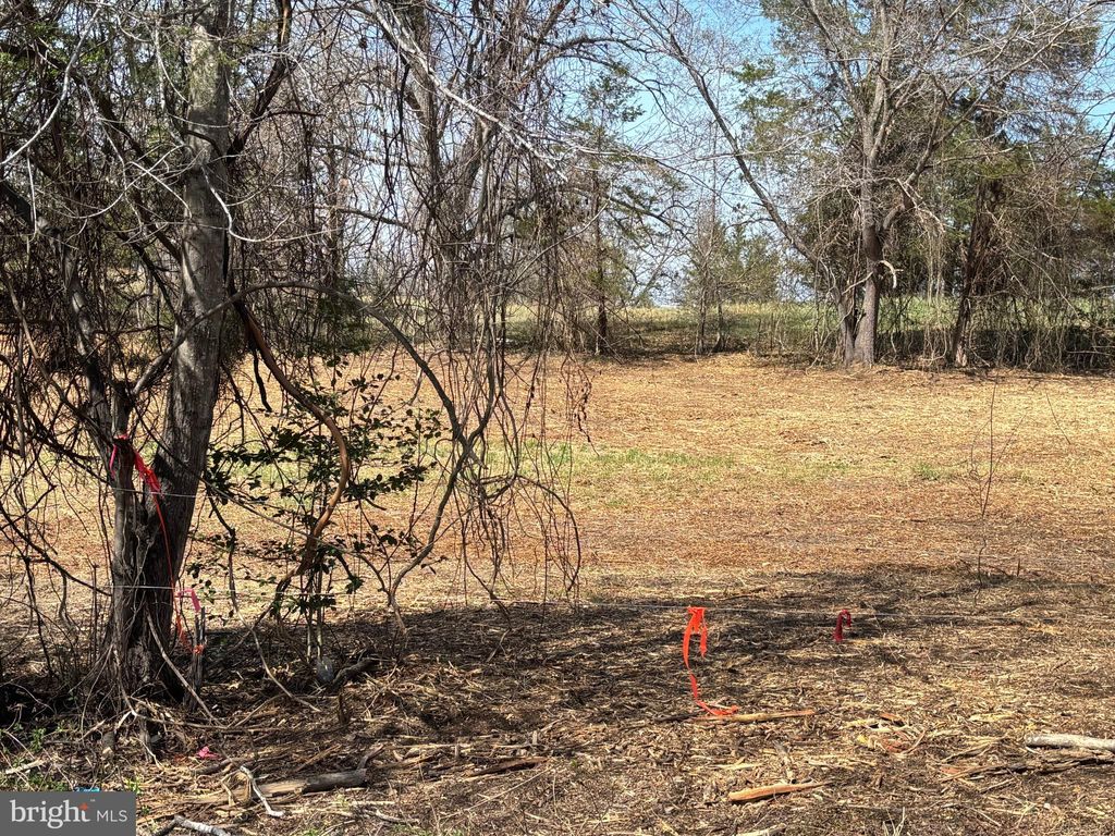 Photo of 2502 Holly Springs Dr. Rd, AMISSVILLE, VA 20106 (MLS # VACU2013460)