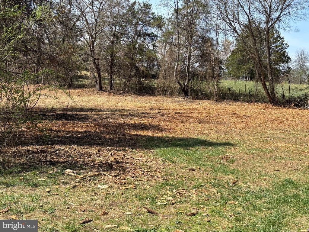 Photo of 2502 Holly Springs Dr. Rd, AMISSVILLE, VA 20106 (MLS # VACU2013460)