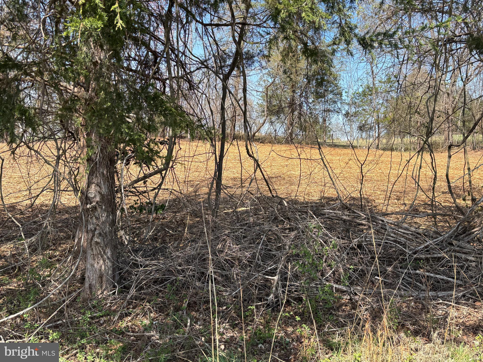 2502 tract 2 HOLLY SPRINGS DR.