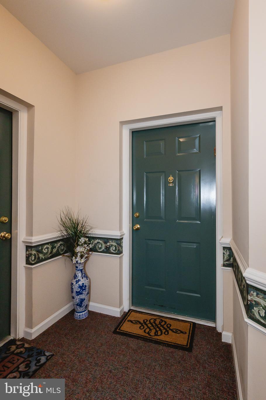 VILLAGE OF MILL RUN - Residential