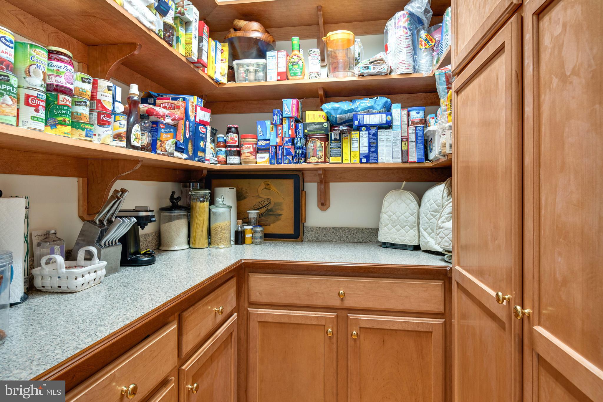 WINCHESTER ESTATES - Residential