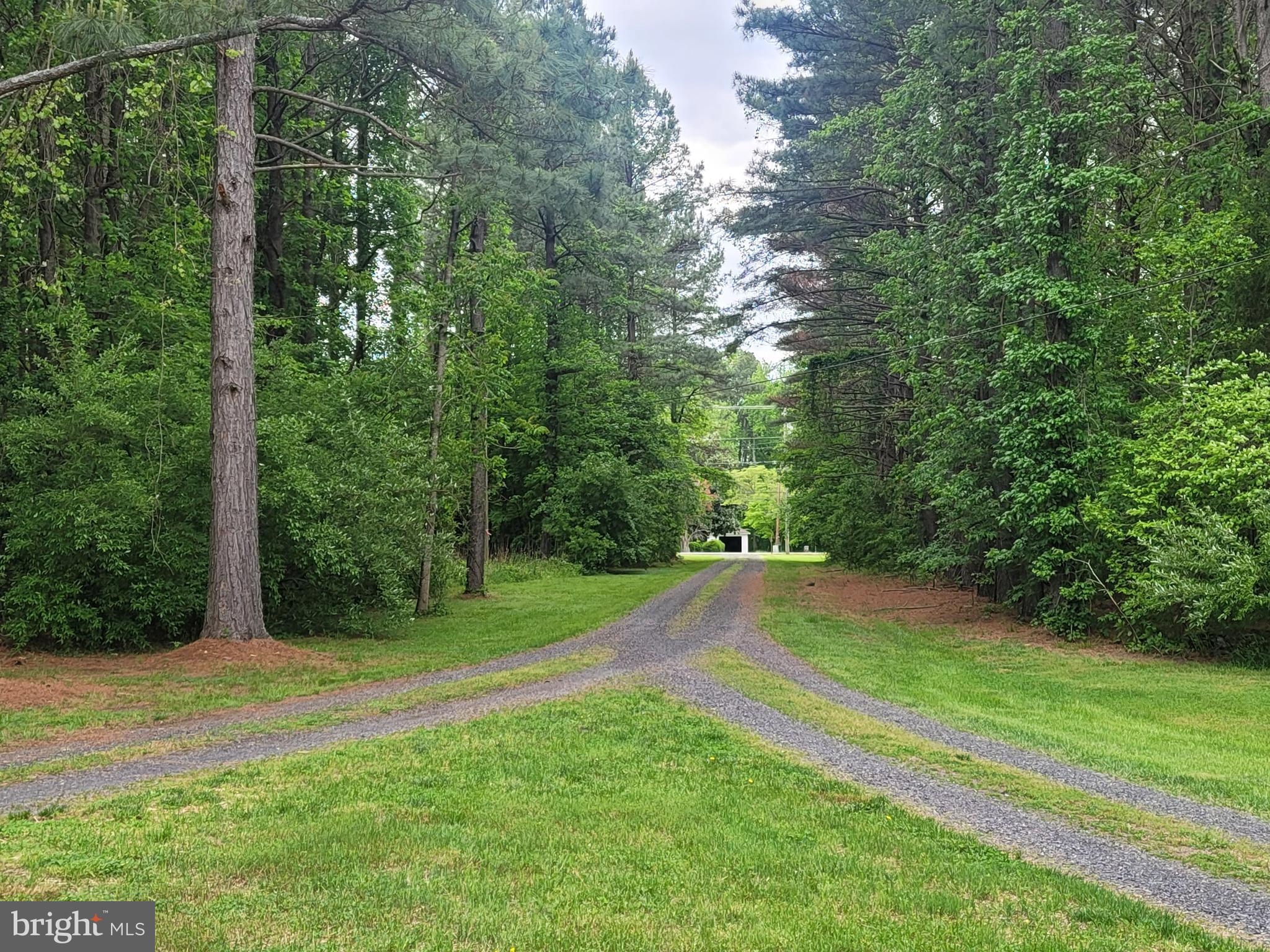 3+ ACRES - Residential