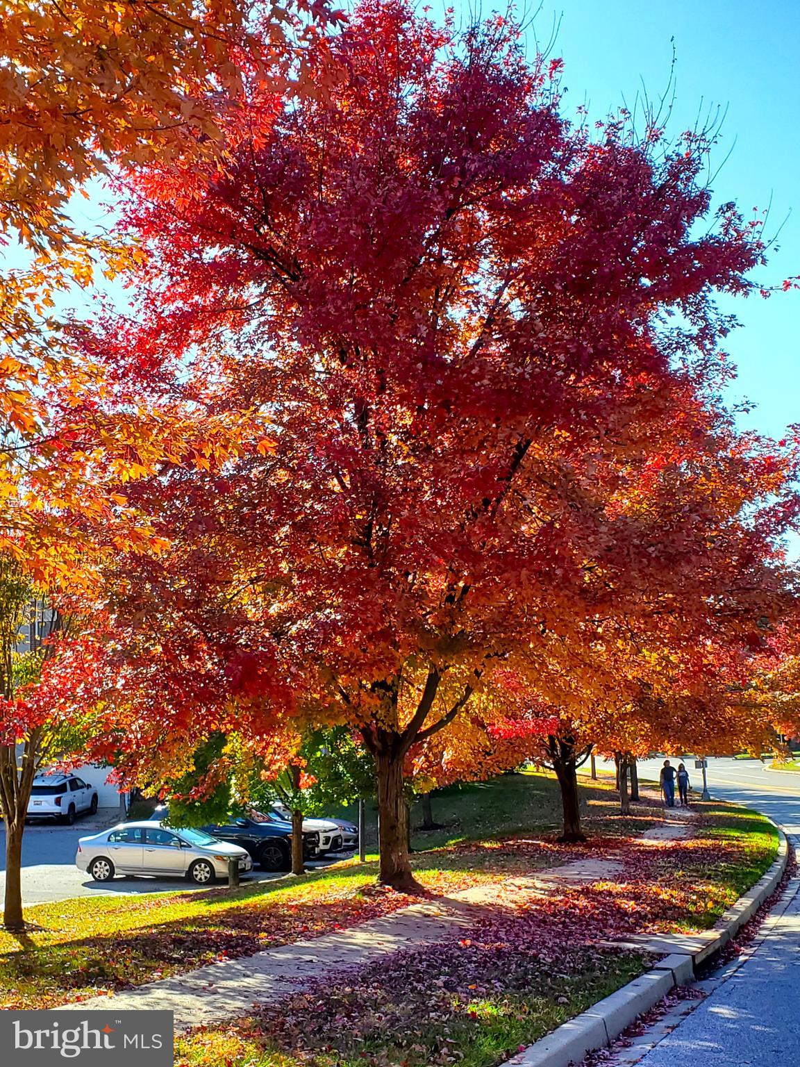 EMERSON - Residential