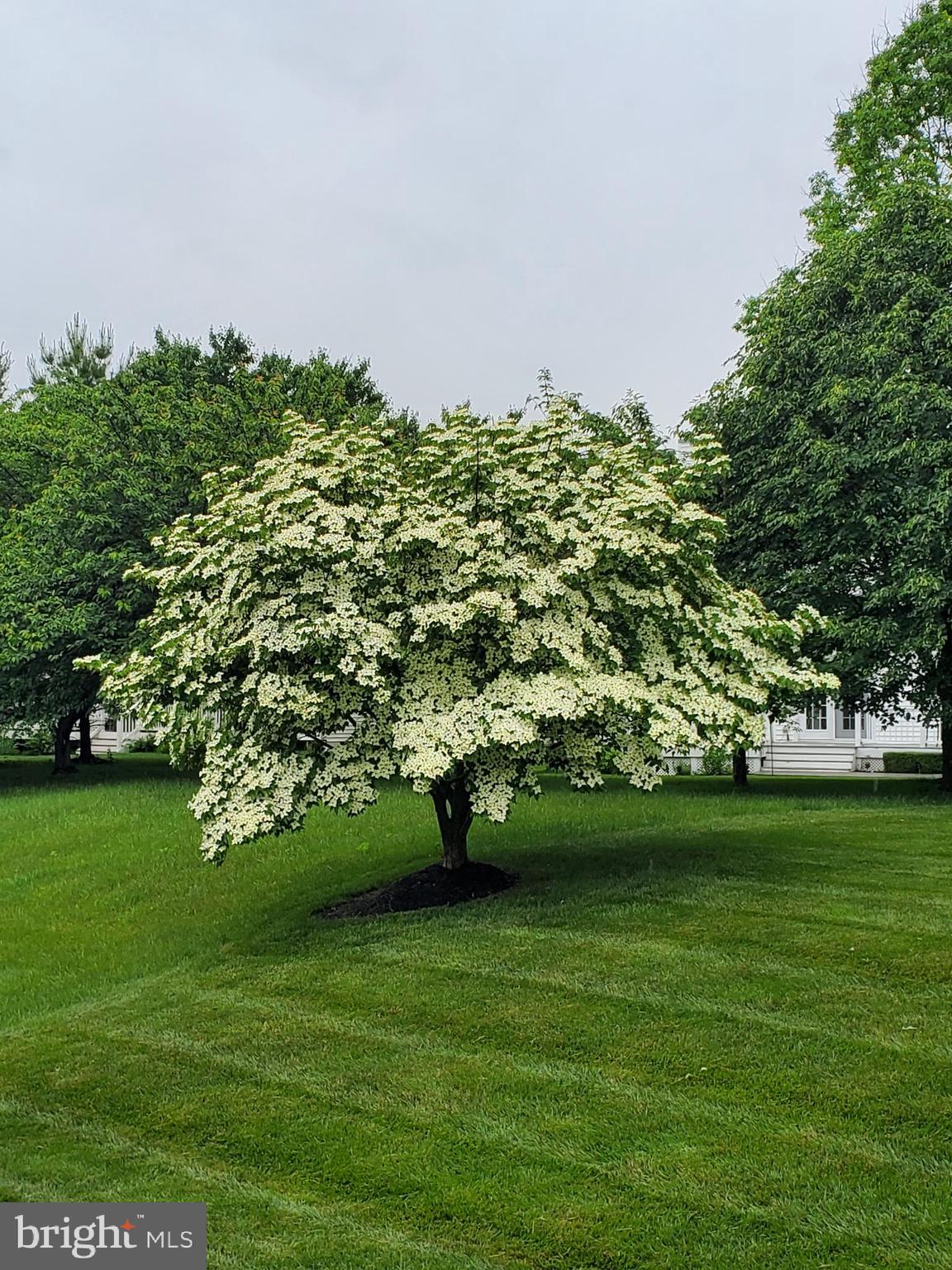 EMERSON - Residential