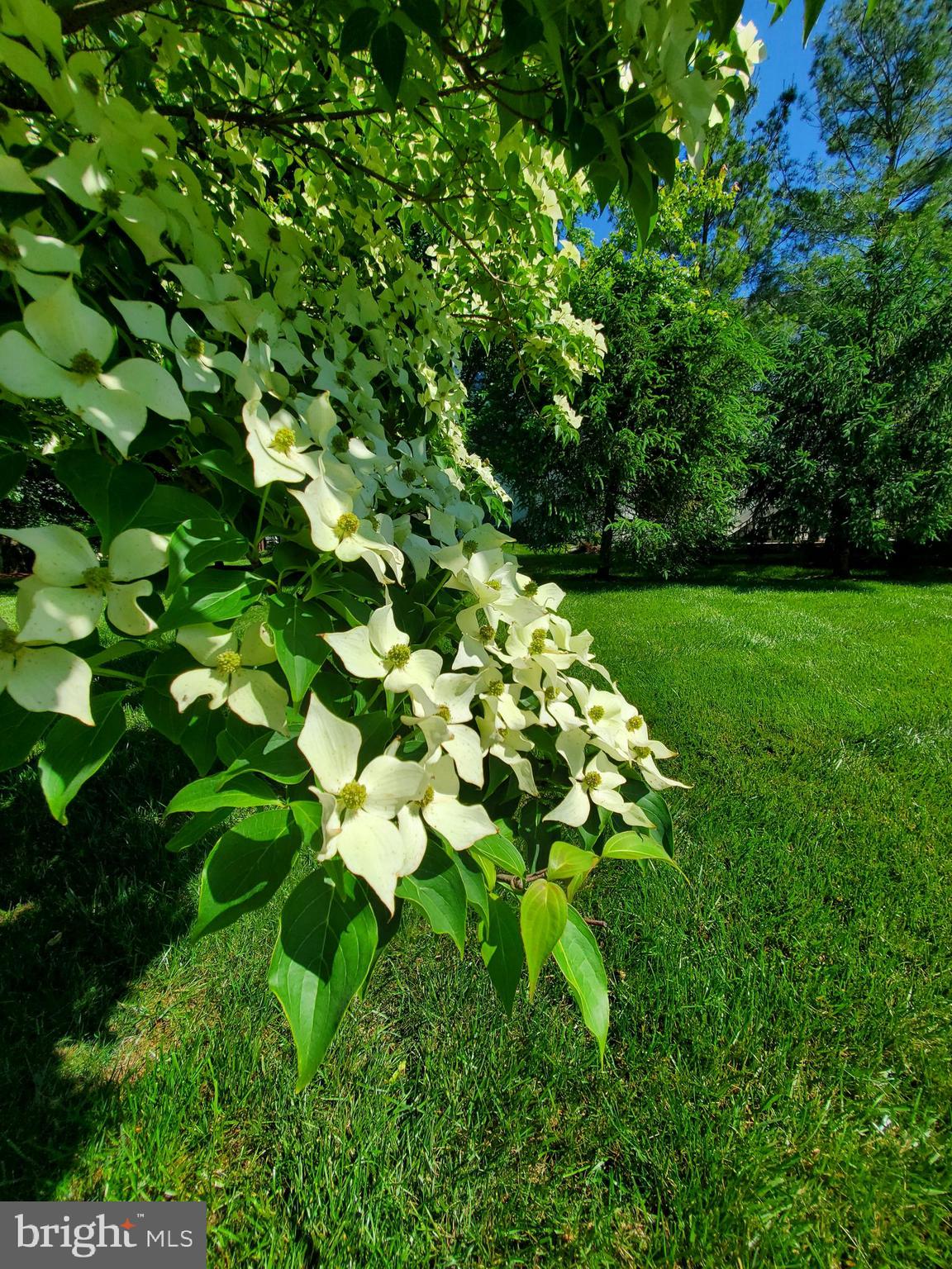 EMERSON - Residential