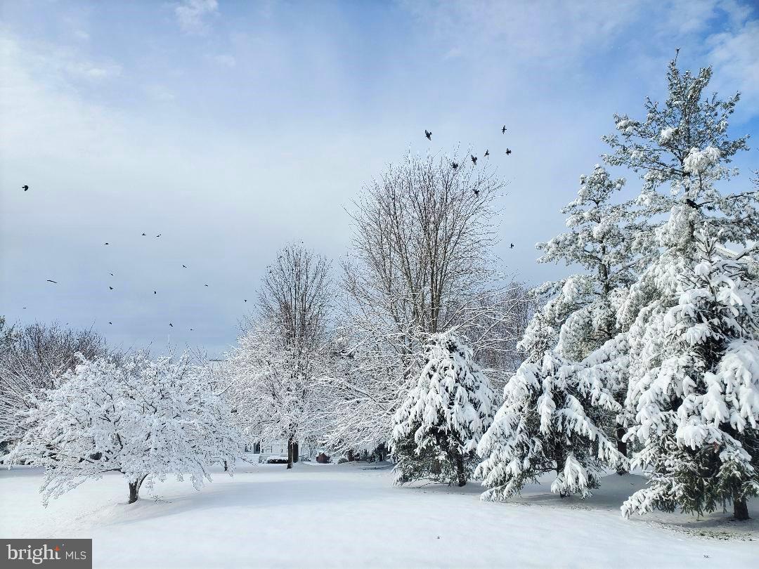 EMERSON - Residential