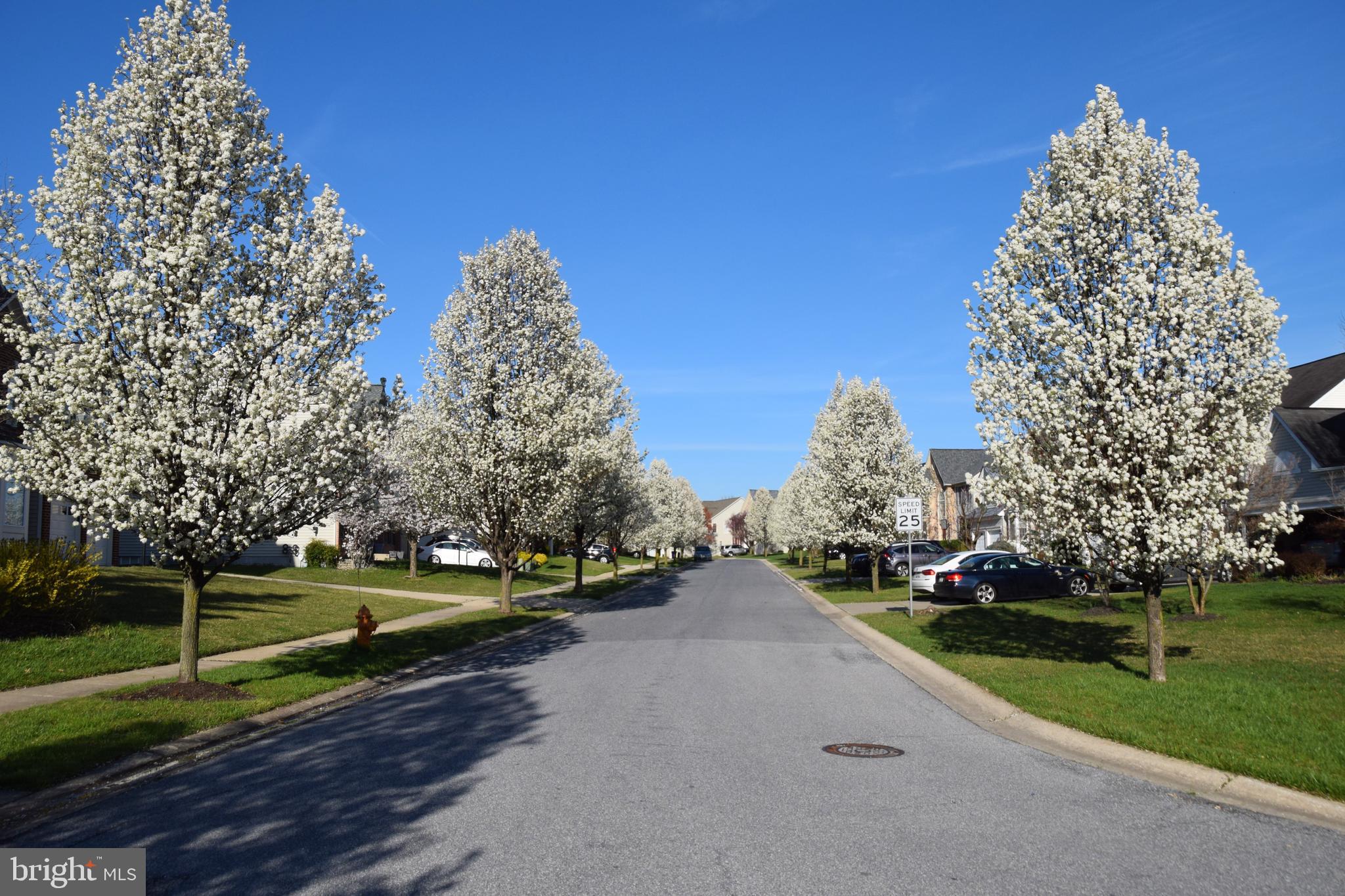 EMERSON - Residential