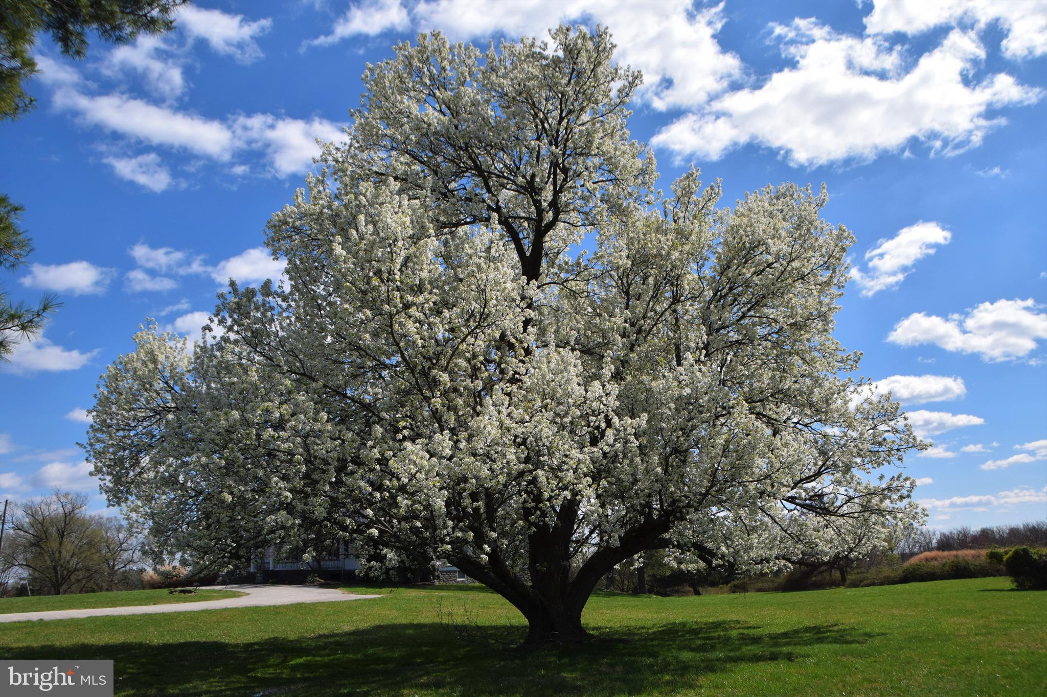 EMERSON - Residential