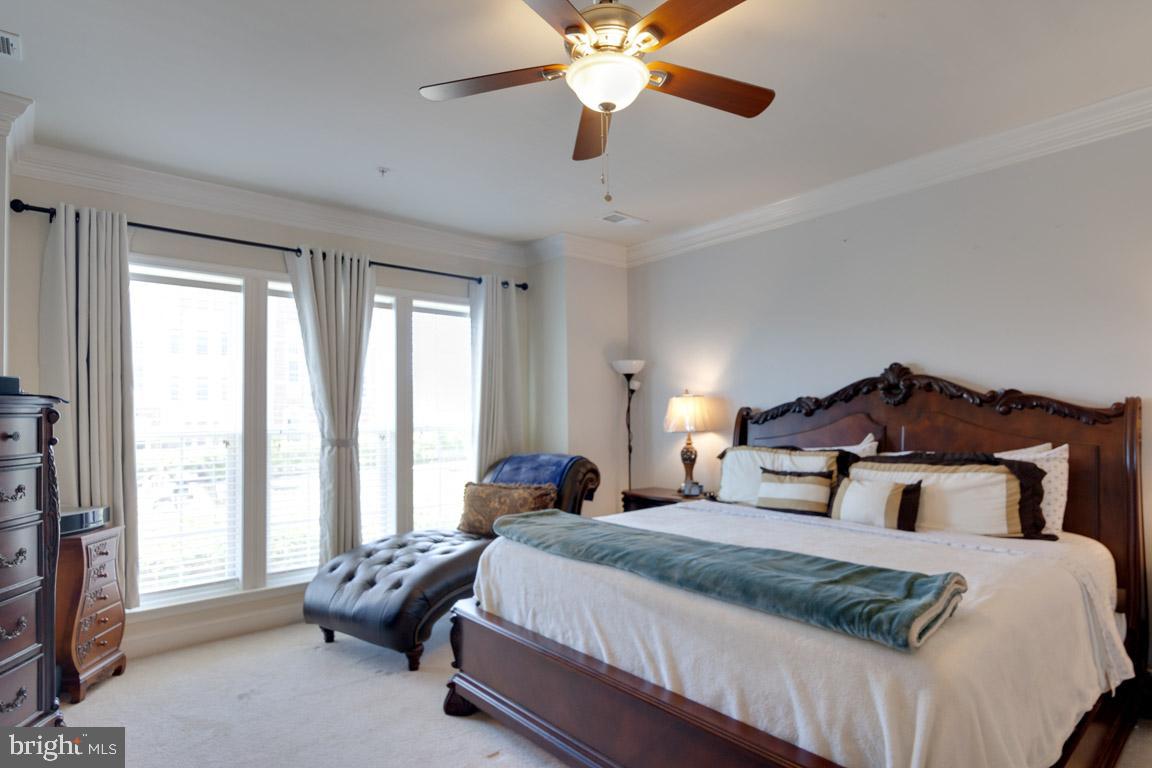 POTOMAC CLUB - Residential