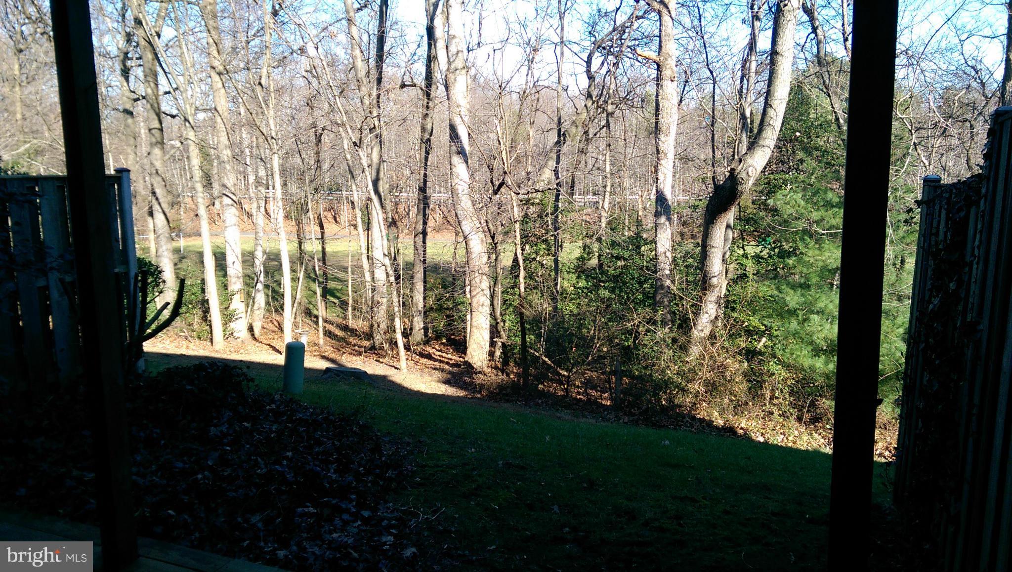 RESTON - Residential Lease