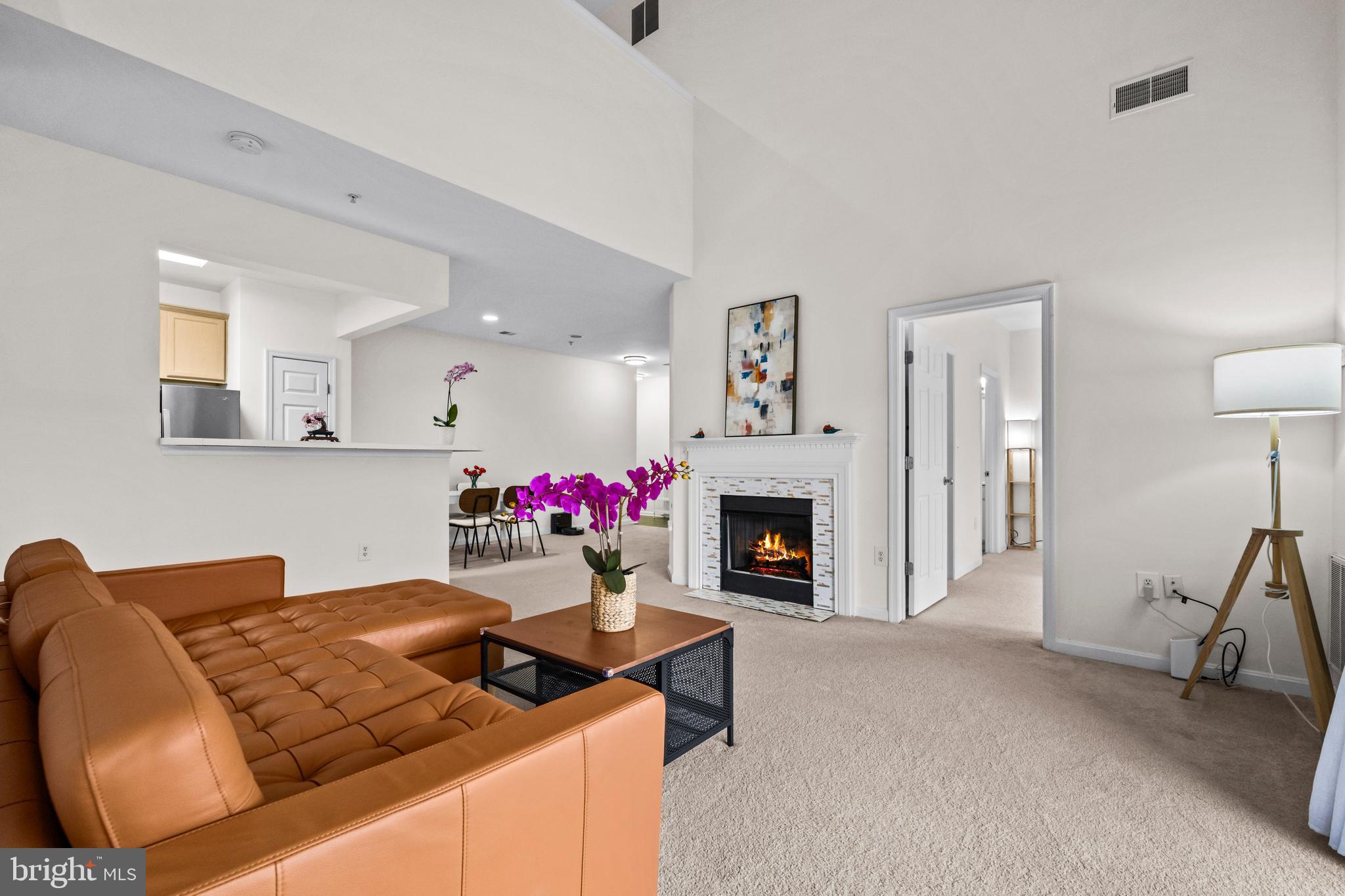 11338 WESTBROOK MILL LANE 303