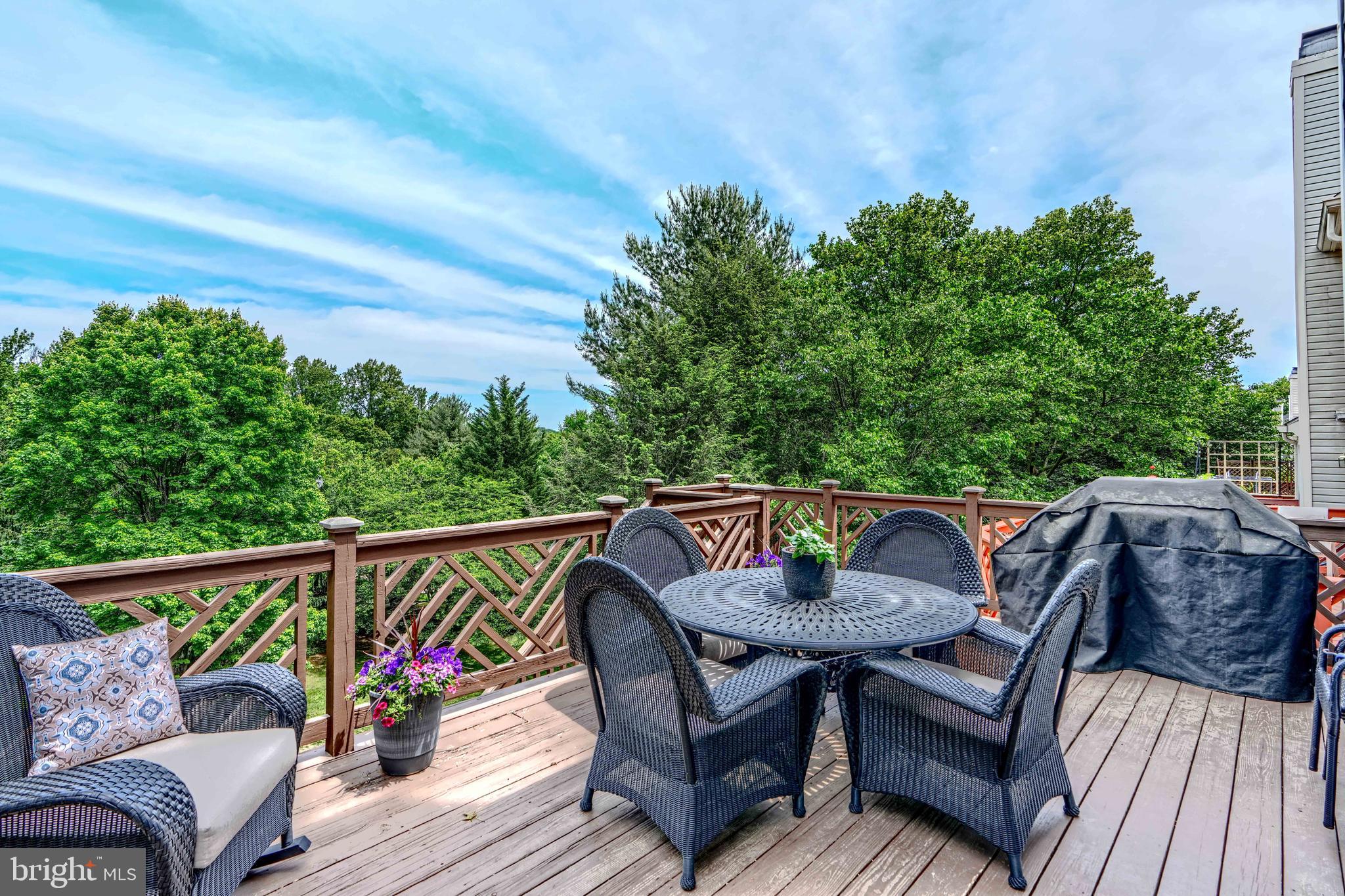 MAYS CHAPEL NORTH - Residential