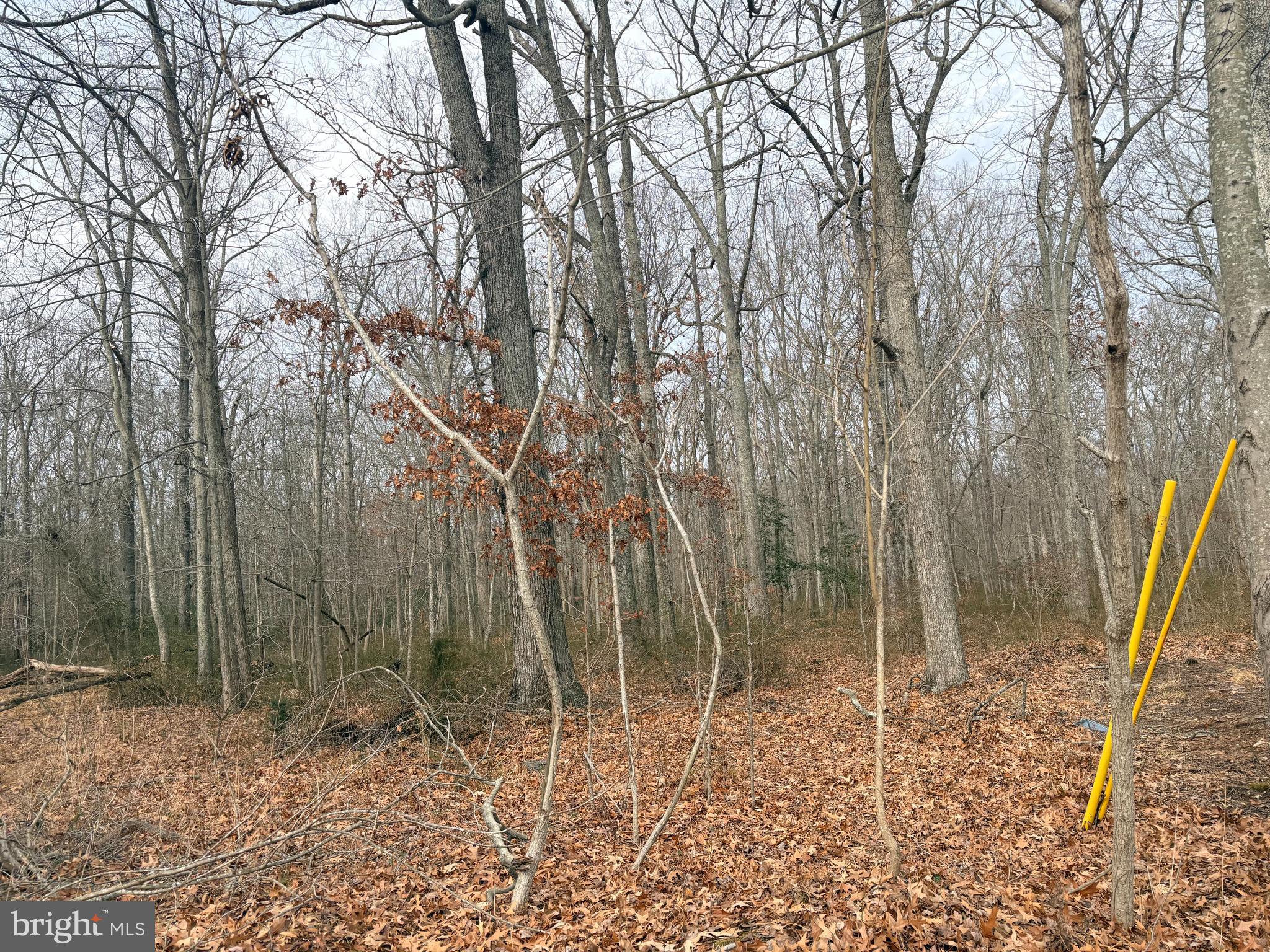 CEDARHURST ON THE BAY - Land