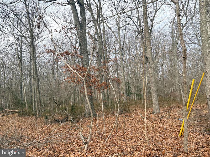 Embrace the opportunity to own a 4,750 sq. ft. parcel of raw land in the charming waterfront community of Shady Side, MD. This blank canvas is ready for your vision, whether you're dreaming of building a custom home, a weekend getaway, or an investment property.

Located on a peaceful street, this lot offers the perfect blend of privacy and convenience. Enjoy the serene lifestyle of Shady Side, with close proximity to marinas, parks, and the stunning Chesapeake Bay. Whether you're a nature enthusiast or simply seeking a tranquil retreat, this property provides endless possibilities.

Don't miss your chance to create something extraordinary in this sought-after location. Contact us today for more information!