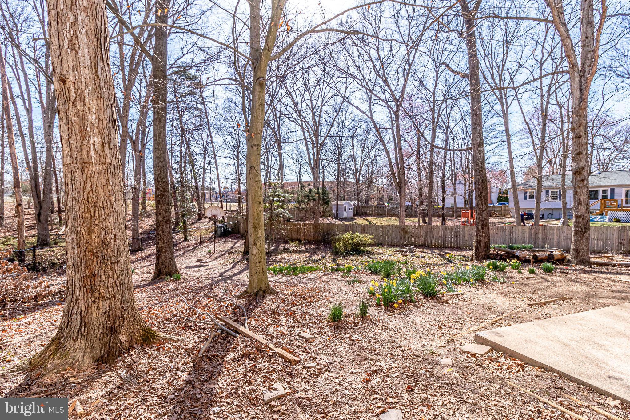 SARATOGA - Residential