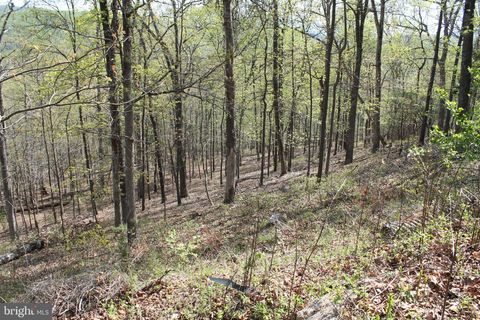 Vacant Land For Sale - 224 Estate Drive<br/> Caroline County, RUTHER GLEN, VA 22546