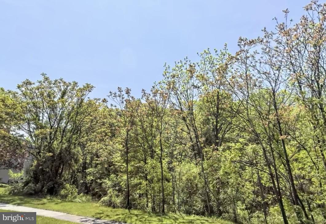 LITCHFIELD ROAD