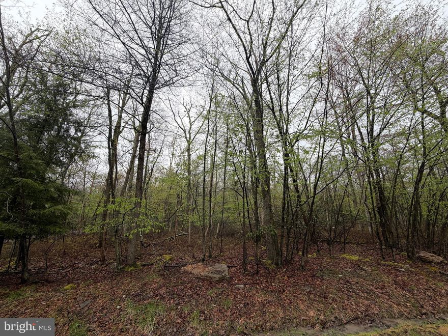 This desirable location on Haystack Drive offers a buffer of wooded unused community land at the rear of the property making it feel larger than it is and allowing for extra privacy.   The adjoining CORNER lot at 571 Haystack is also available for purchase.  (see separate listing)  Situated in the foothills of the Poconos and only 1 1/2 hours to New York, this could be where you build your getaway or your forever home.  With easy access to I-81, your commute to Hazleton, Wilkes-Barre, or Scranton is a breeze.  Bring your own builder and let's make your dreams come true.   Your building costs are lower here since public water and sewer are already in place, ready for you to connect through Aqua of Pa.  Do you desire a cabin or home where you can hunt, fish, ATV, snowmobile, and more?  How does approximately 750 acres of unoccupied prime hunting, ATV, and snowmobile riding land sound to you?  Yes, that's right!  Adjoining the residential portion of Cove Village is just that for residents of the community and their guests!  Driving through the community, the peace and tranquility will envelop you.  The homes vary from rustic cabins, chalets, traditional ranch, two-story homes, exquisite new construction, and even dreamy mountain log homes.  There really is something for everyone.  The approximately 278 acres of residential homes and lots are occupied by full-time residents, part-time vacation homes, and even some snowbird second homes.  Cove Village is located in the mountains of Northeastern Pennsylvania and offers an abundance of amenities including a swimming pool, stocked fishing lake, a basketball court, tennis courts, a volleyball court, 2 playgrounds, a baseball field, ATV paths, hunting, a mini golf course, walking paths, and year-round Community events.  I can't forget to mention the beautiful lodge ideal to rent for family gatherings.   This lot and community just might be exactly what you've been looking for.  Air B and B are not permitted. Camping on vacant lots is not permitted.  Mobile homes are not permitted.  The minimum square footage when building is 1400 square feet.  The community maintains the roads and snow removal.  Trash collection is also provided.   An appointment is required to view due to the gated community and buyer's MUST be accompanied by a realtor.  Call to schedule your tour today!