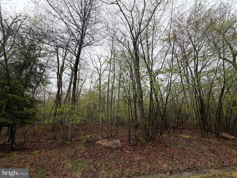 570 HAYSTACK DRIVE ZION GROVE PA 17985