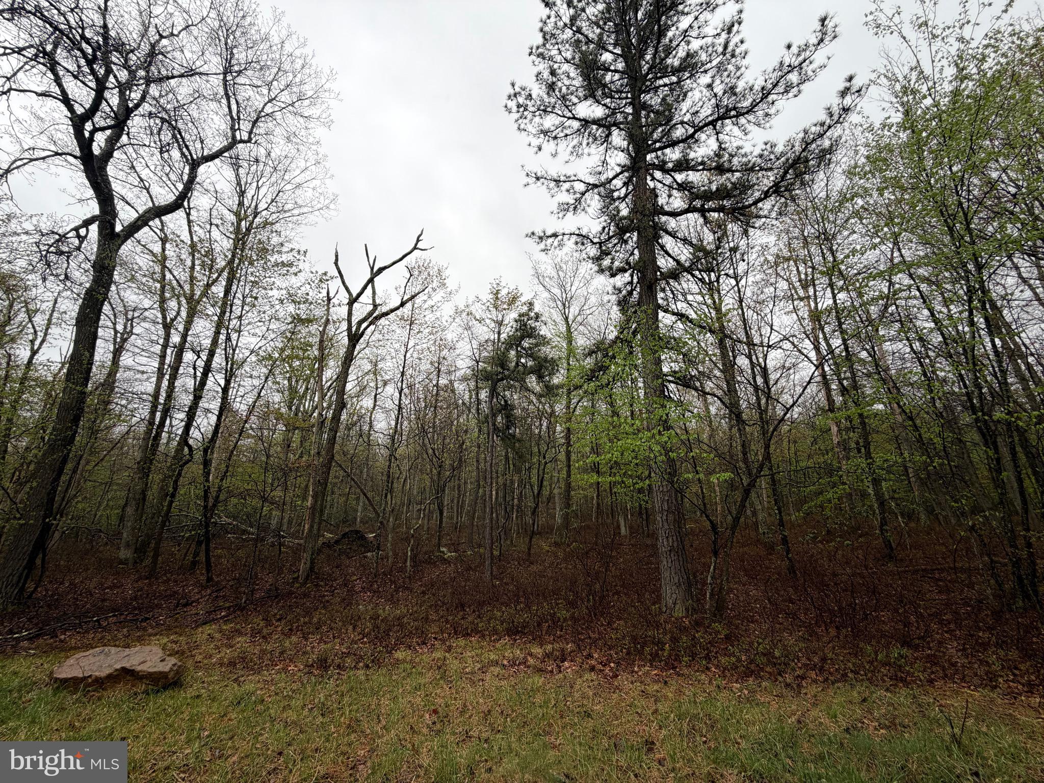 570 HAYSTACK DRIVE