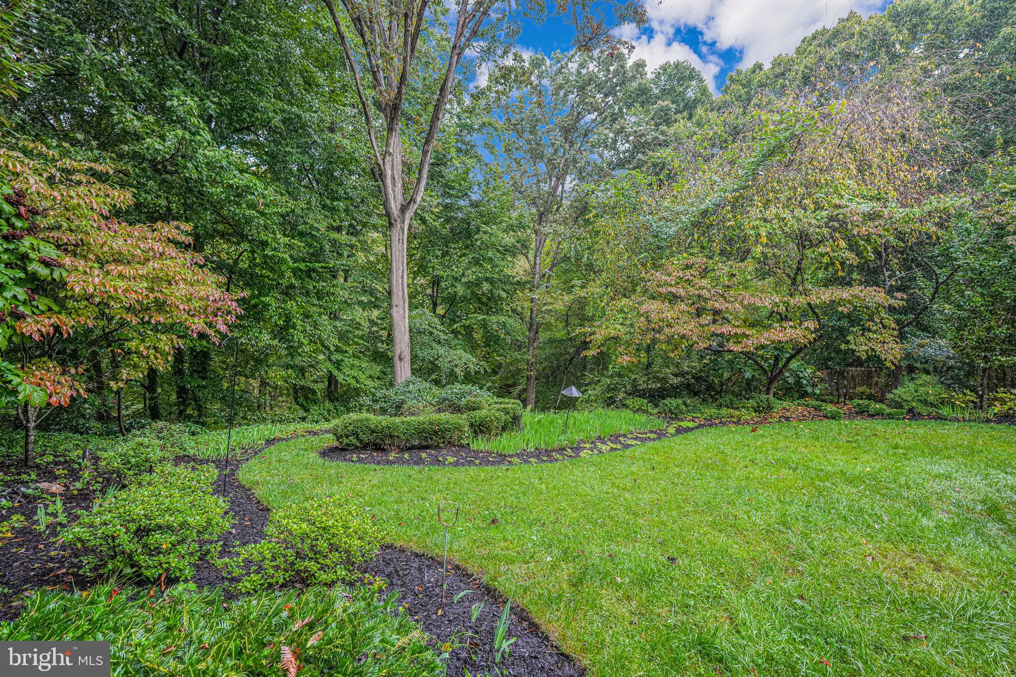 BROYHILL FOREST - Residential